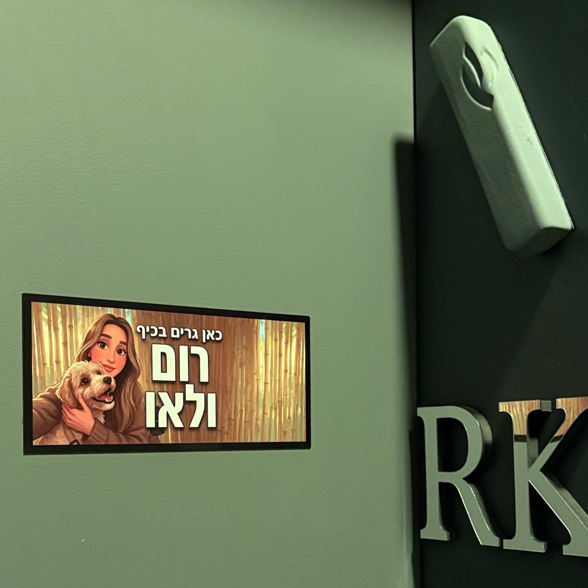 השלט של רום